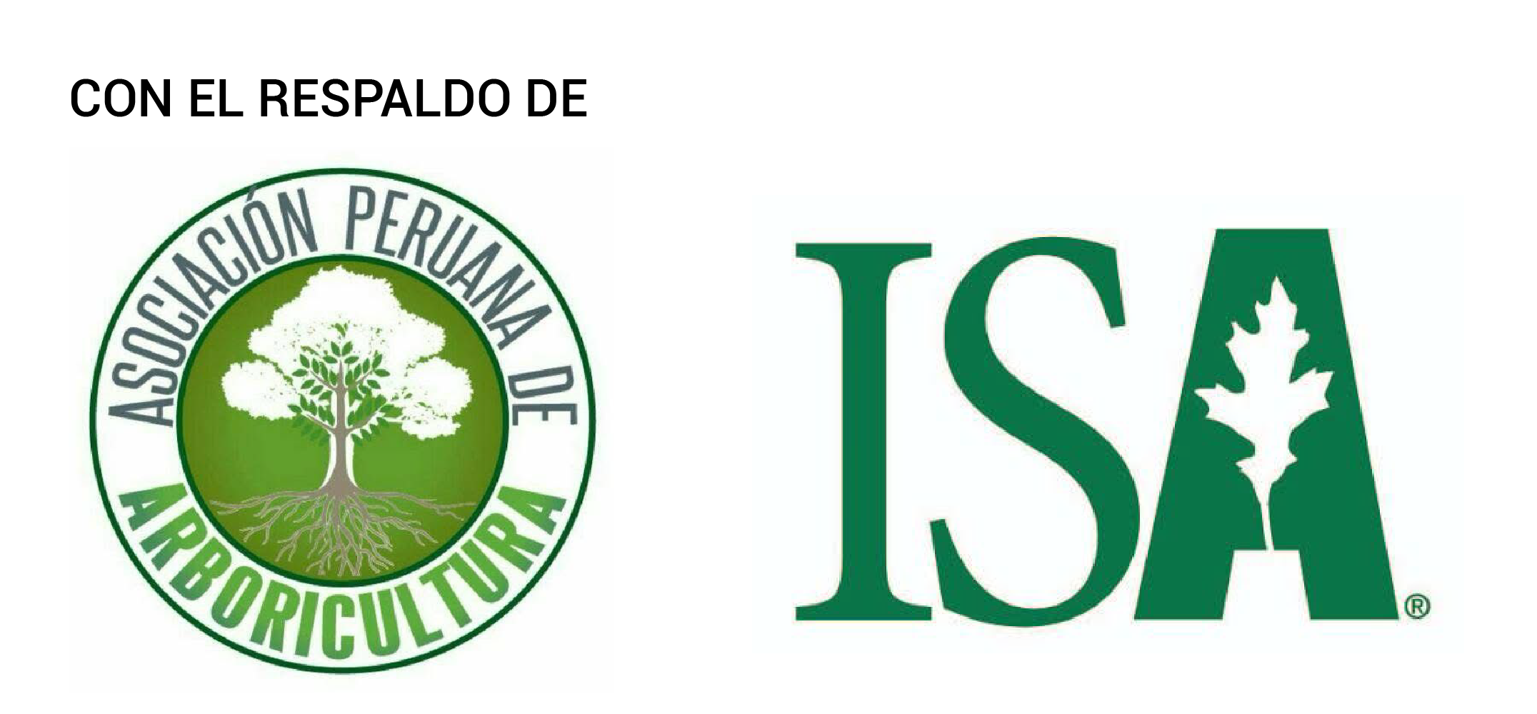 Cpta-Recurso 12auspicio-@x